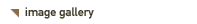 Image Gallery